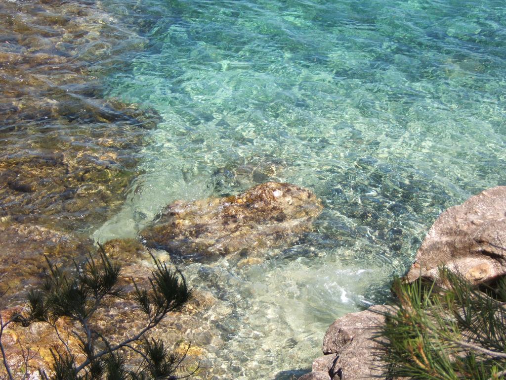 Les Lauriers Roses Lejlighedshotel Le Le Rayol-Canadel-sur-Mer Eksteriør billede