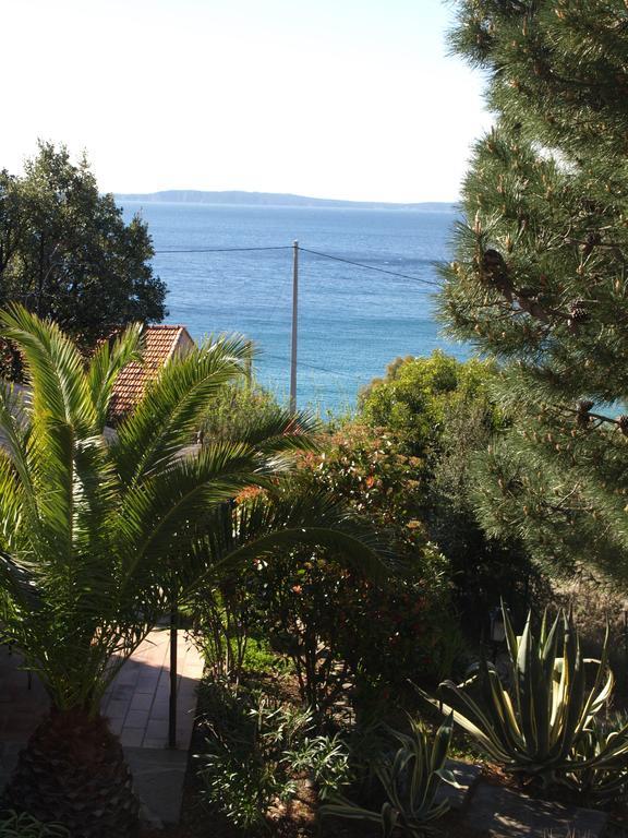 Les Lauriers Roses Lejlighedshotel Le Le Rayol-Canadel-sur-Mer Eksteriør billede